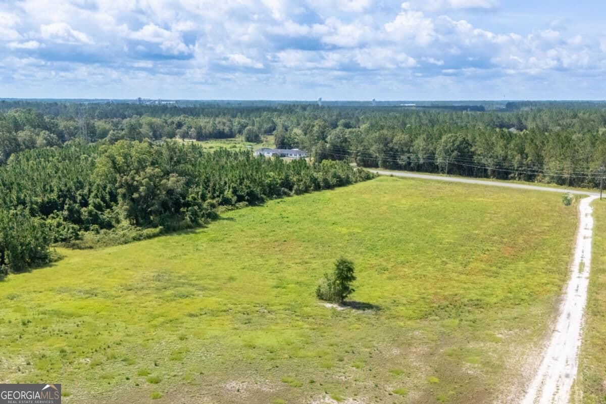 residential lot for sale at 4600 Alma Highway, Waycross, GA 31503 — photo 7