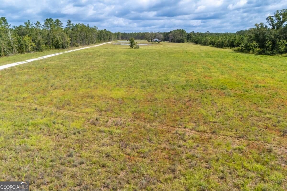 residential lot for sale at 4600 Alma Highway, Waycross, GA 31503 — photo 5