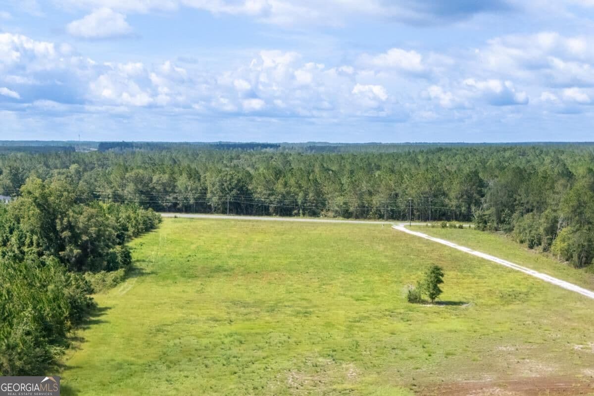 residential lot for sale at 4600 Alma Highway, Waycross, GA 31503 — photo 9