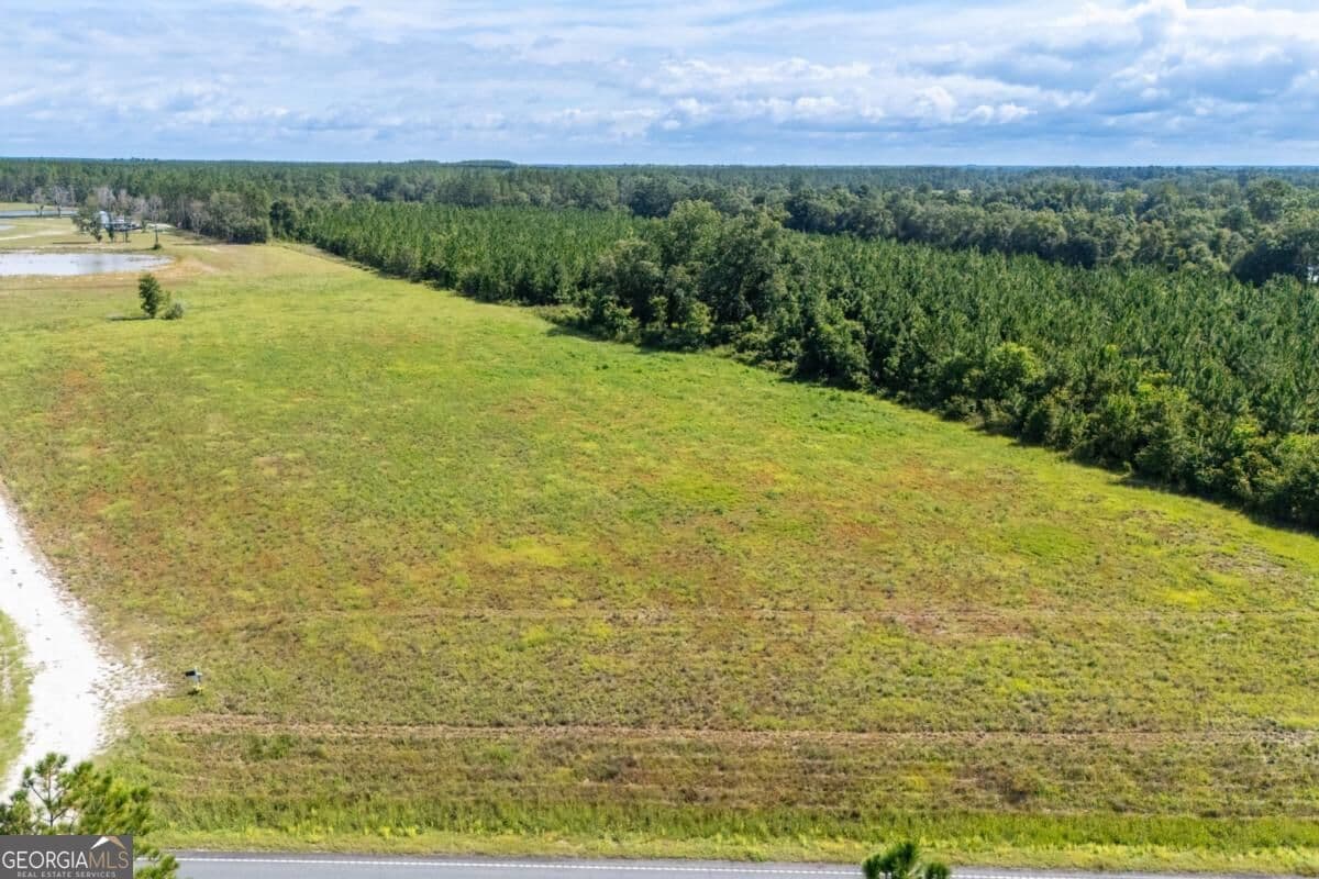 residential lot for sale at 4600 Alma Highway, Waycross, GA 31503 — photo 10