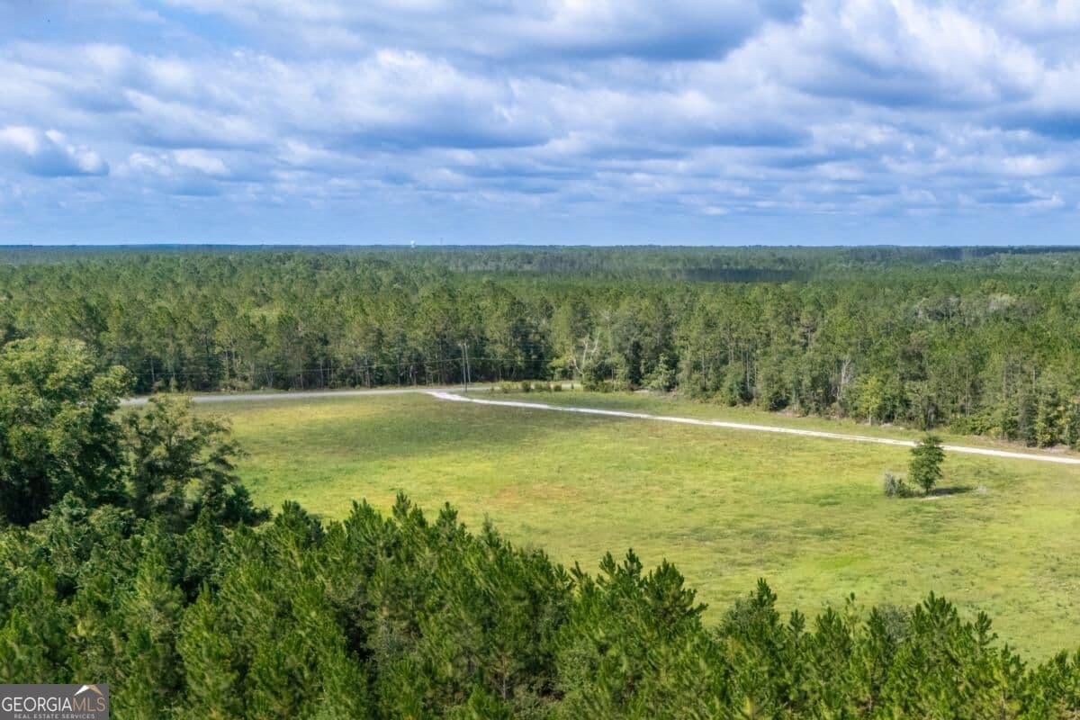 residential lot for sale at 4600 Alma Highway, Waycross, GA 31503 — photo 8