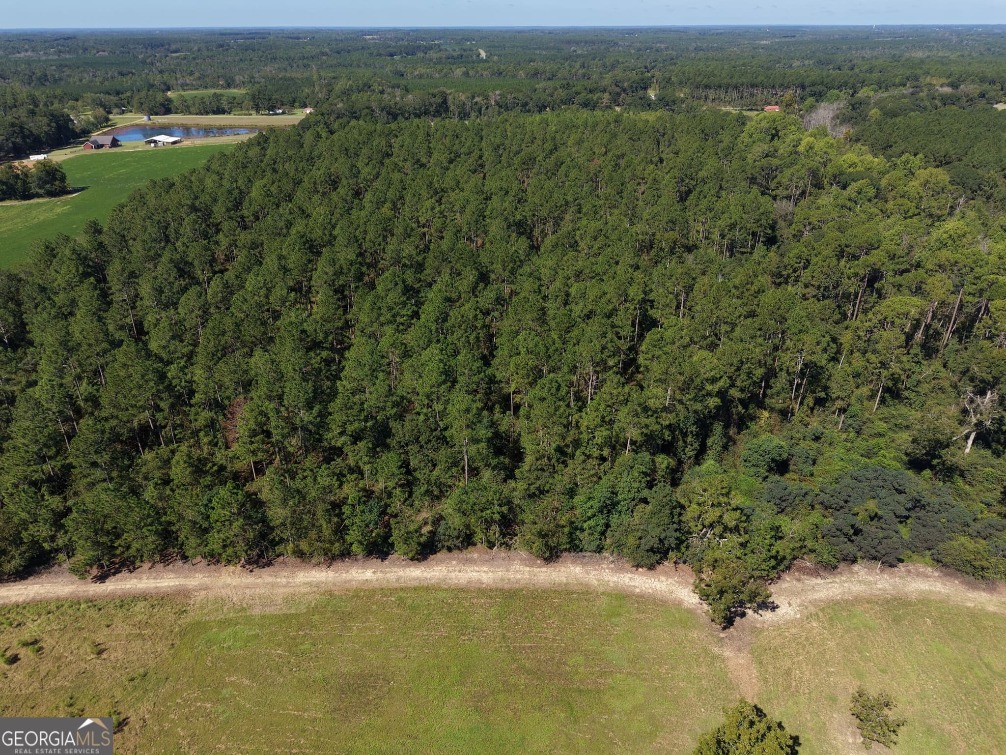 unimproved land for sale at 0 Cleon Shuman Road, Collins, GA 30421 — photo 2