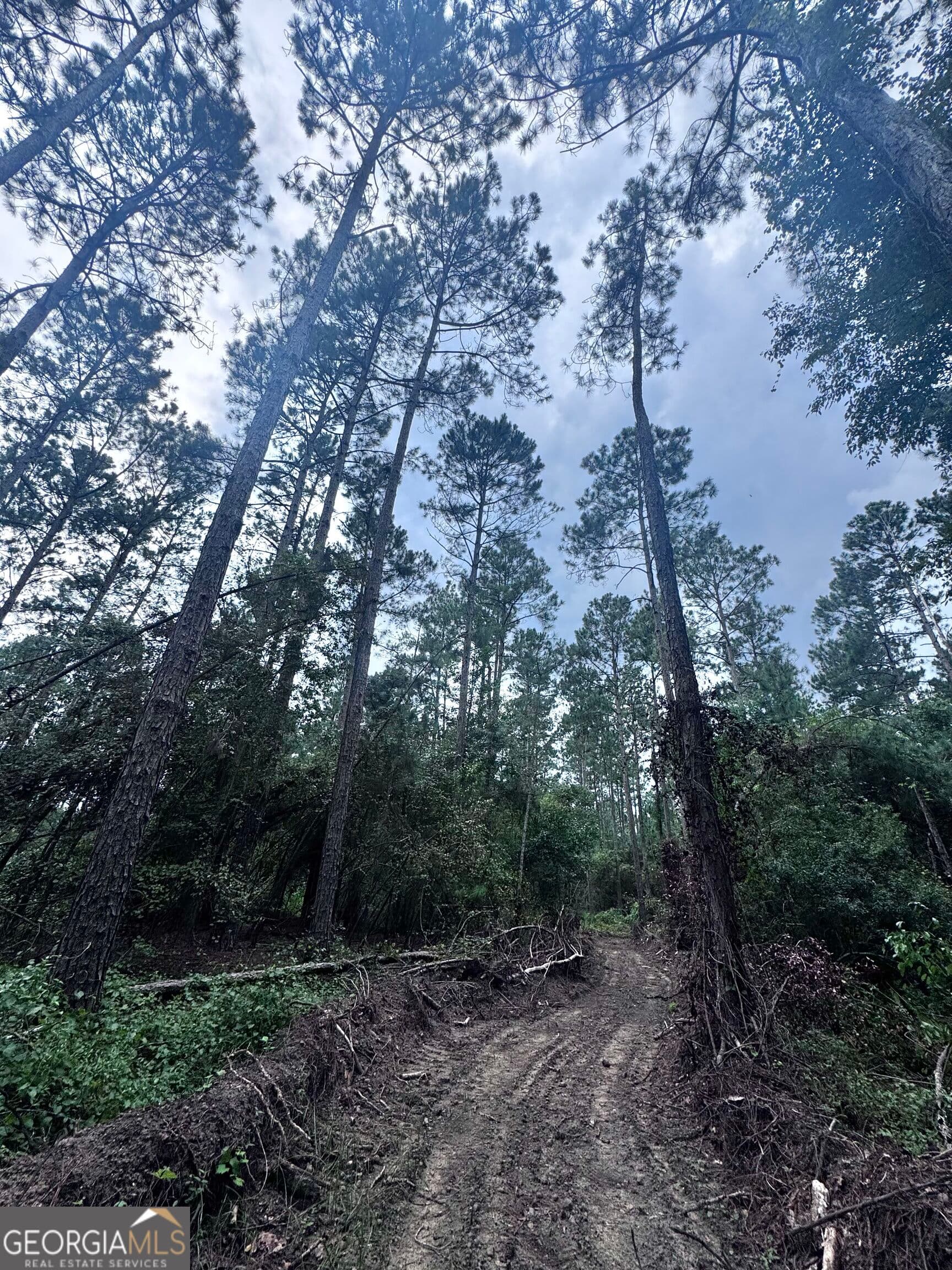 unimproved land for sale at 0 Cleon Shuman Road, Collins, GA 30421 — photo 6