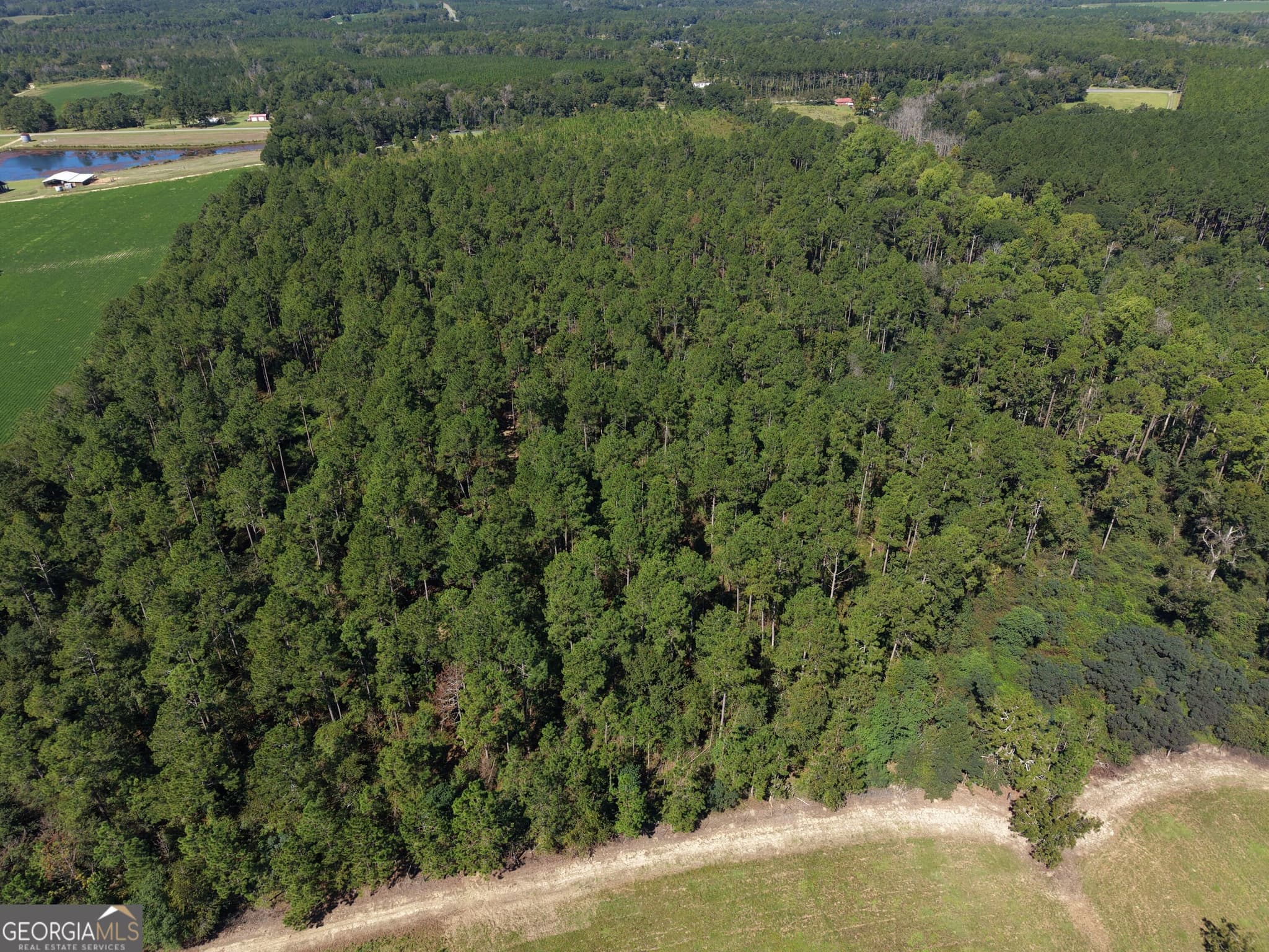 unimproved land for sale at 0 Cleon Shuman Road, Collins, GA 30421 — photo 3