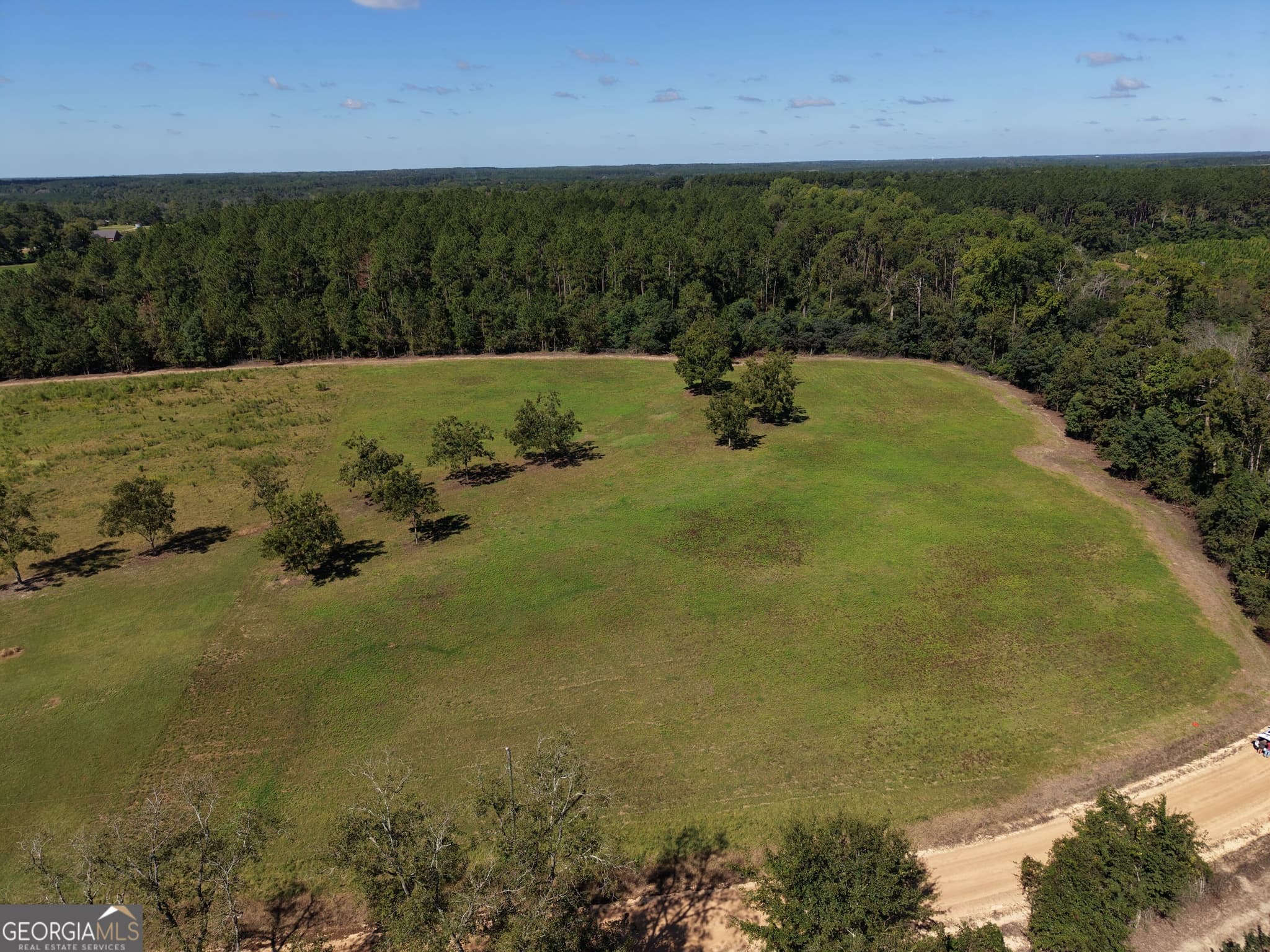unimproved land for sale at 0 Cleon Shuman Road, Collins, GA 30421