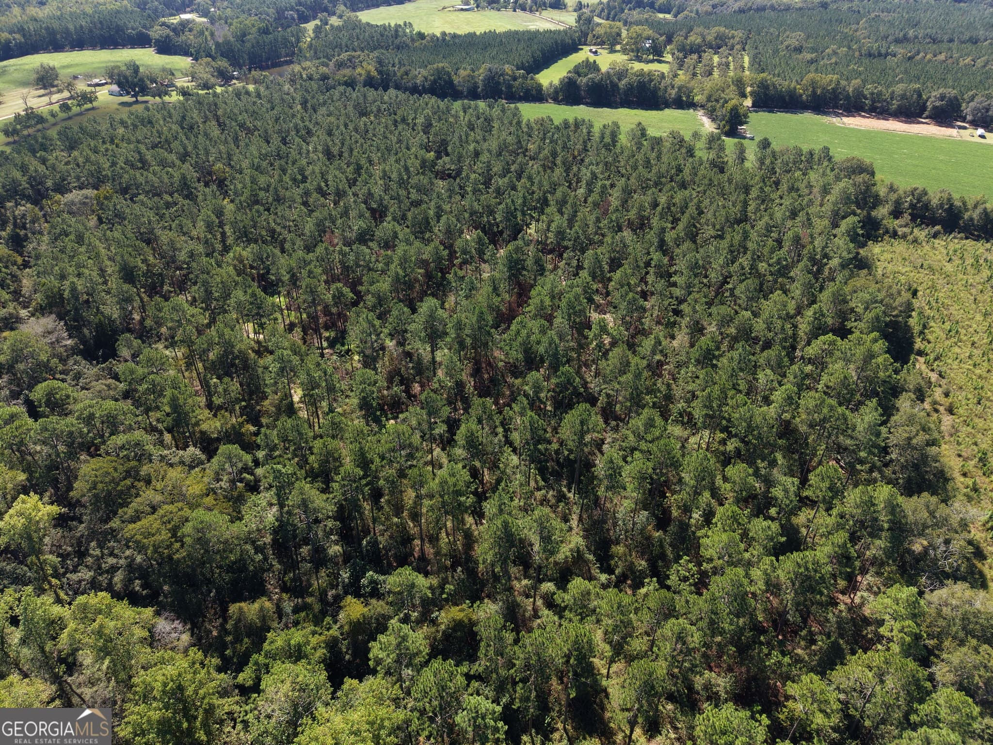 unimproved land for sale at 0 Cleon Shuman Road, Collins, GA 30421 — photo 5