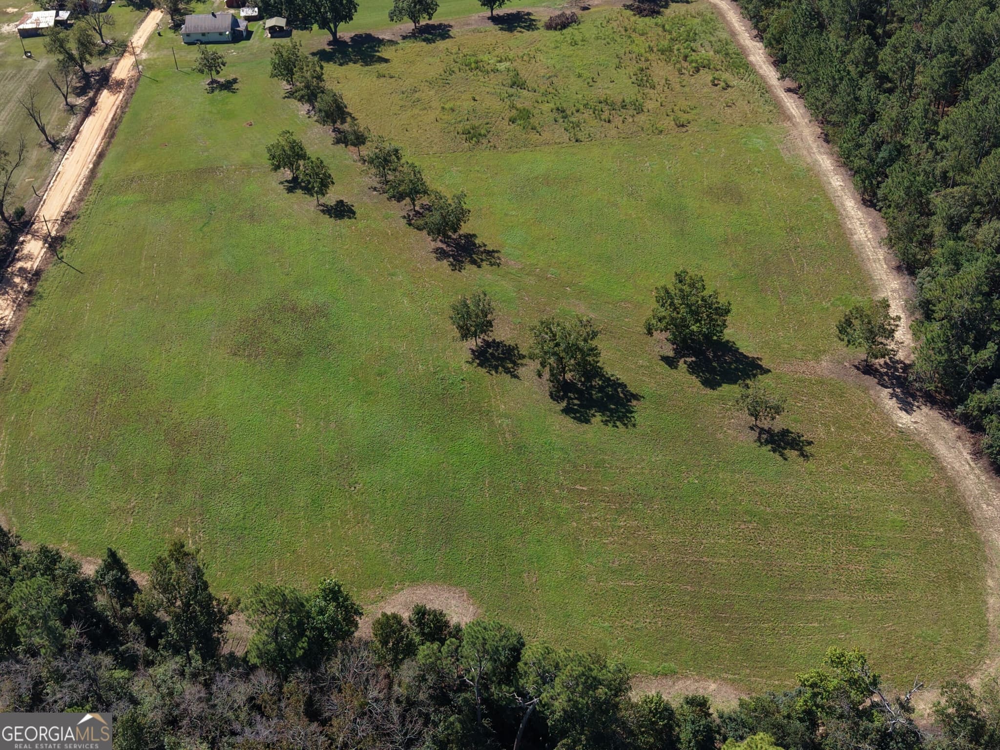 unimproved land for sale at 0 Cleon Shuman Road, Collins, GA 30421 — photo 4