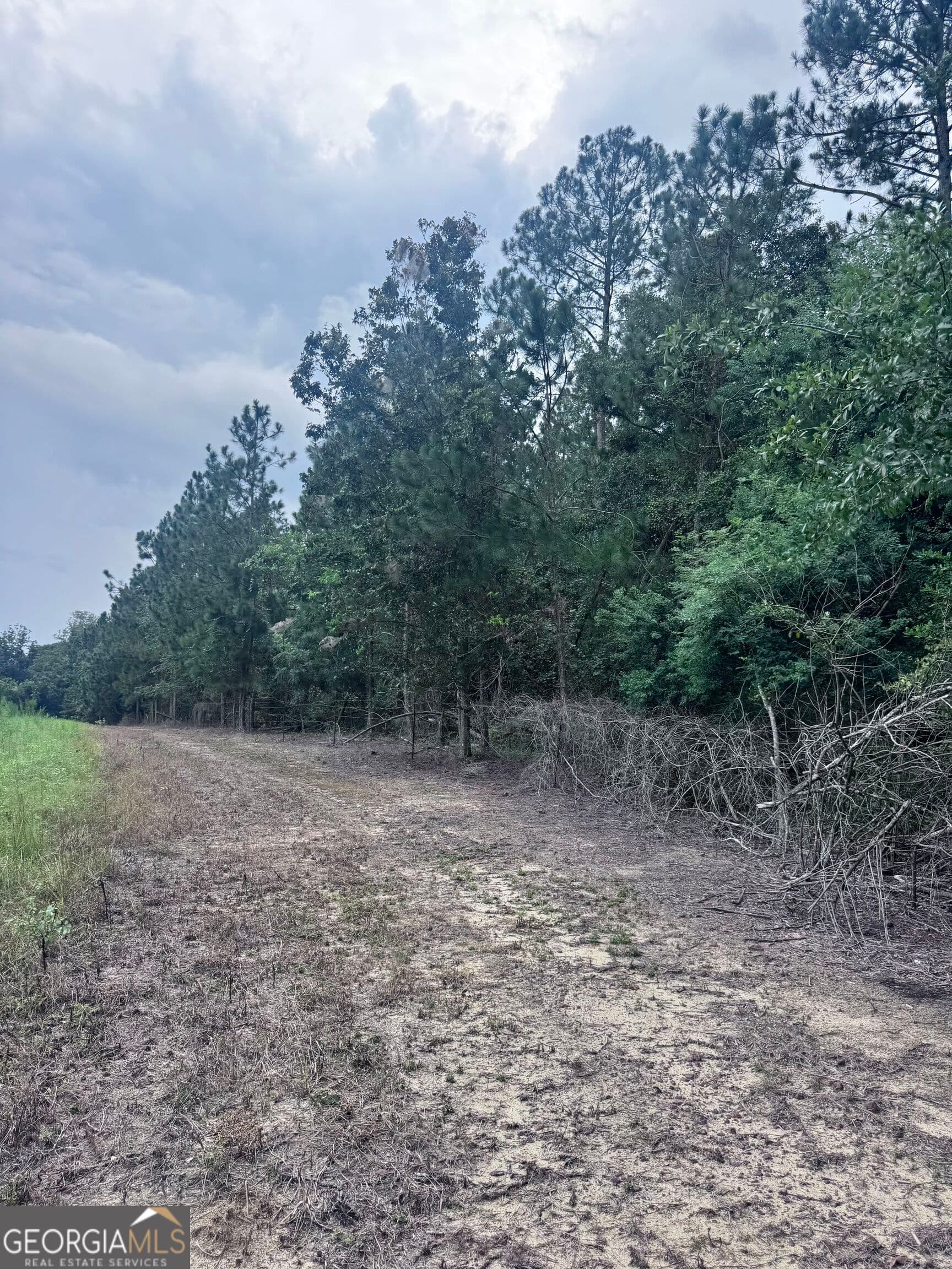 unimproved land for sale at 0 Cleon Shuman Road, Collins, GA 30421 — photo 8
