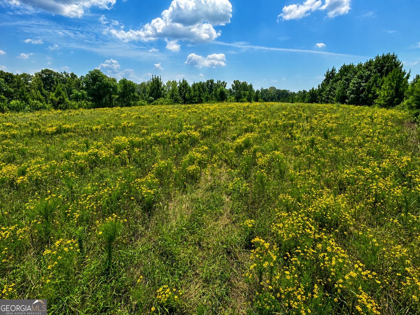 residential lot for sale at 47 Mayfield Road, Warrenton, GA 30828 — photo 3