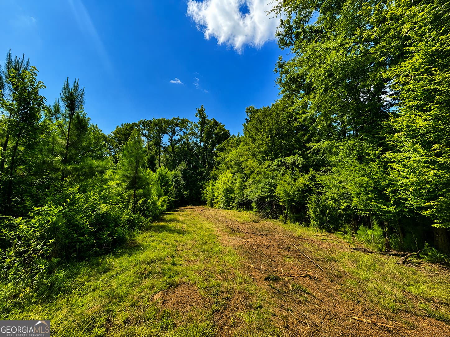 residential lot for sale at 47 Mayfield Road, Warrenton, GA 30828 — photo 5