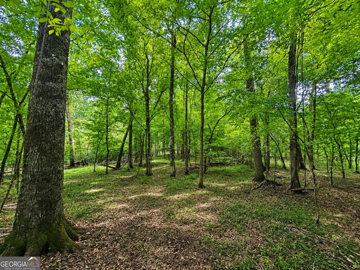 residential lot for sale at 47 Mayfield Road, Warrenton, GA 30828 — photo 4