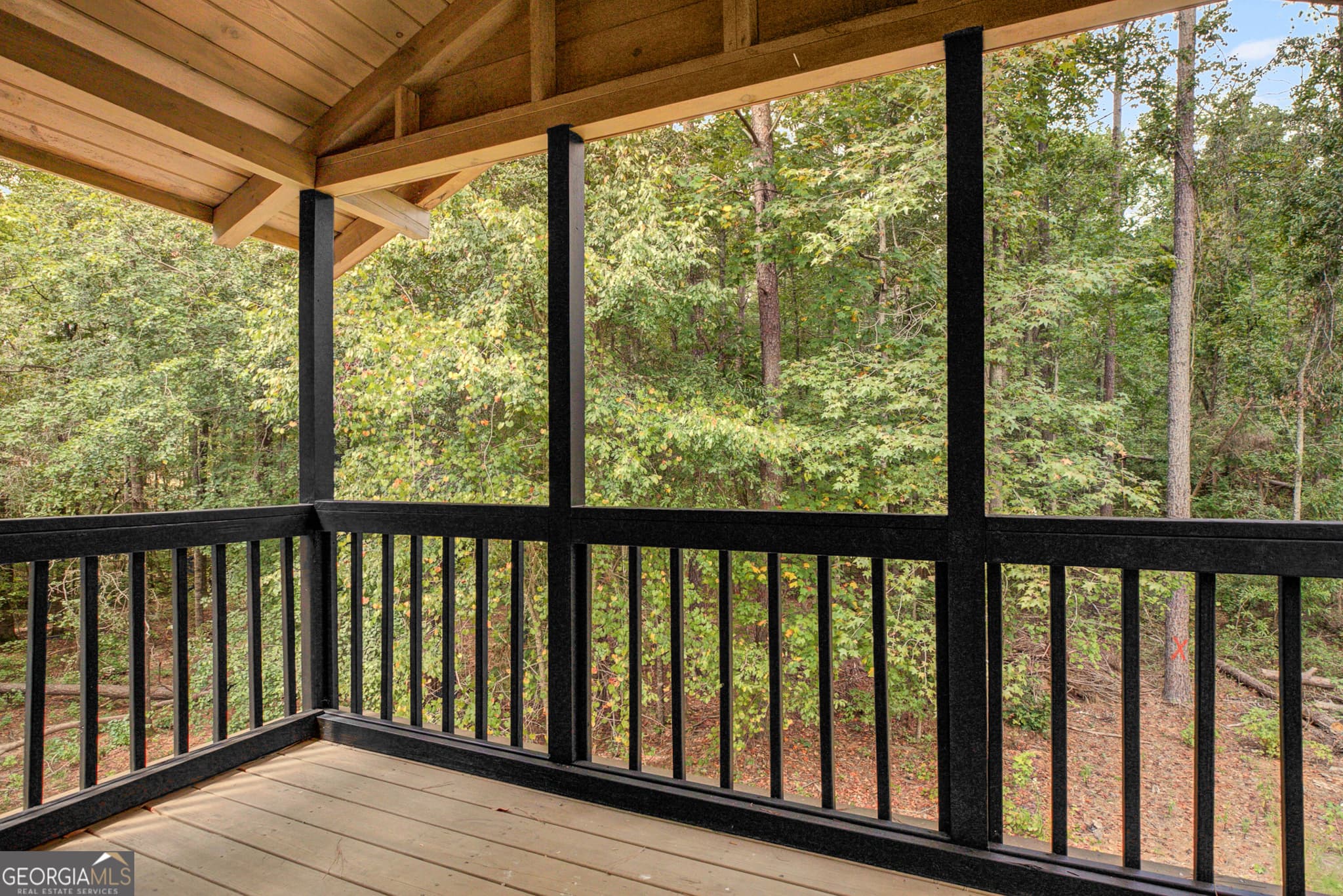 2 bedroom, 2 bathroom, 1,896 sq ft cabin,single family residence for sale at 162 Thompson Road, Senoia, GA 30276 — photo 7