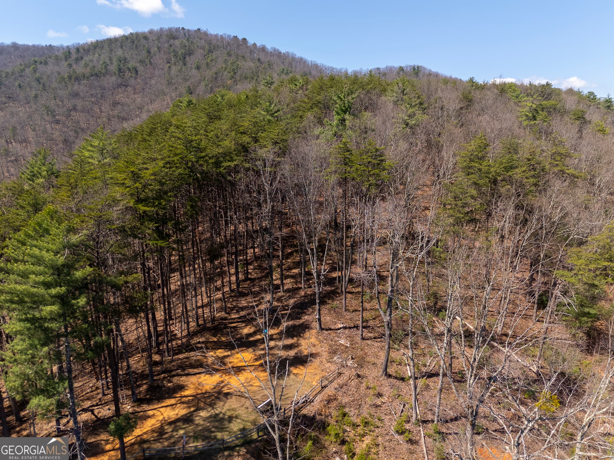 unimproved land for sale at 0 Bellflower Place, Helen, GA 30545 — photo 2