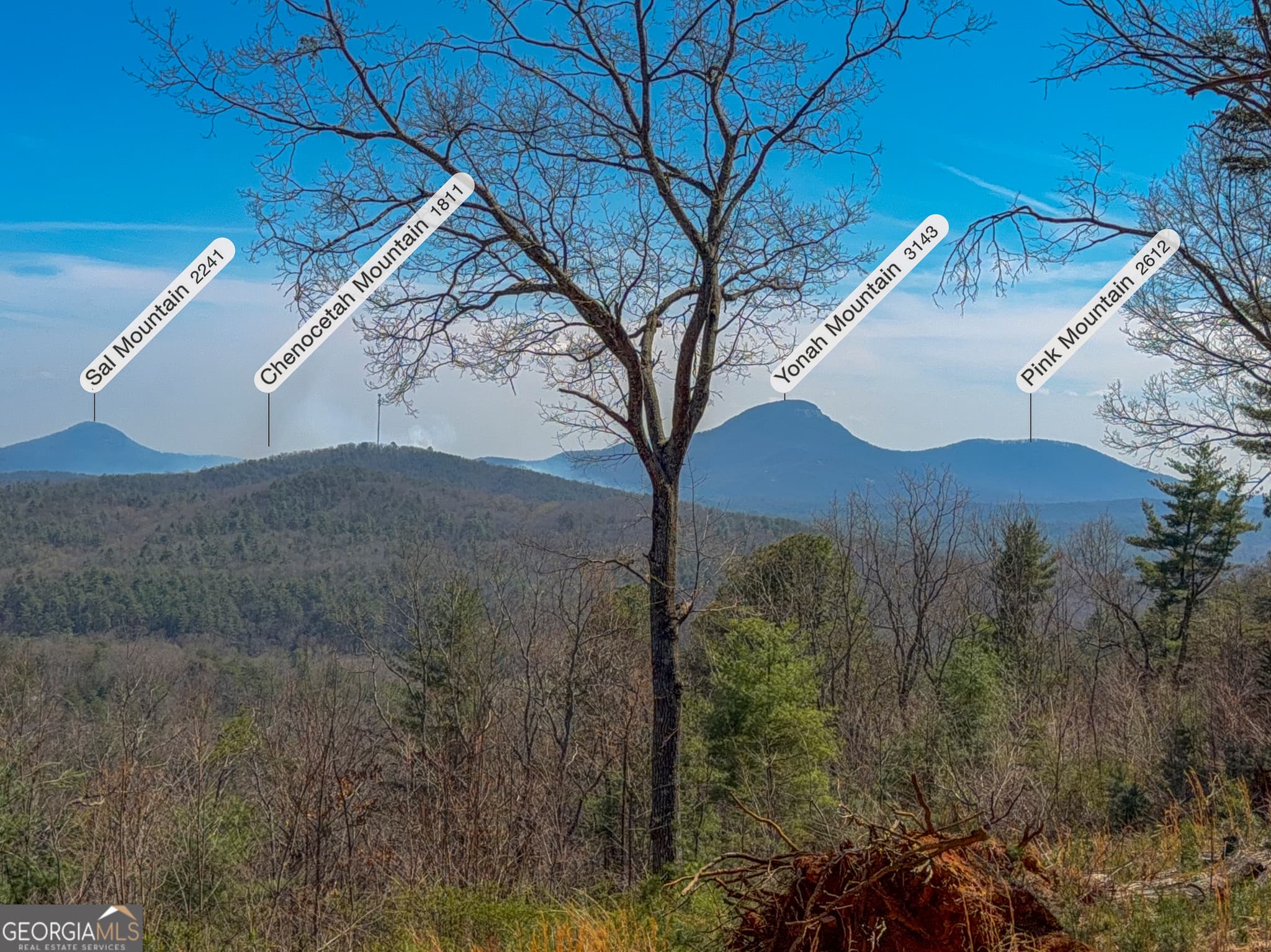 unimproved land for sale at 0 Bellflower Place, Helen, GA 30545 — photo 6