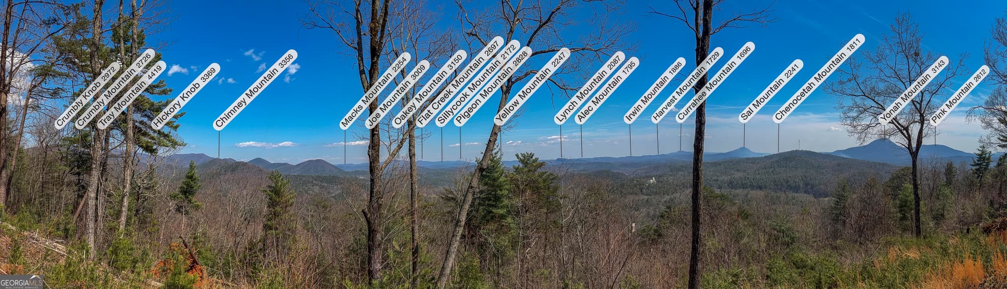 unimproved land for sale at 0 Bellflower Place, Helen, GA 30545 — photo 7