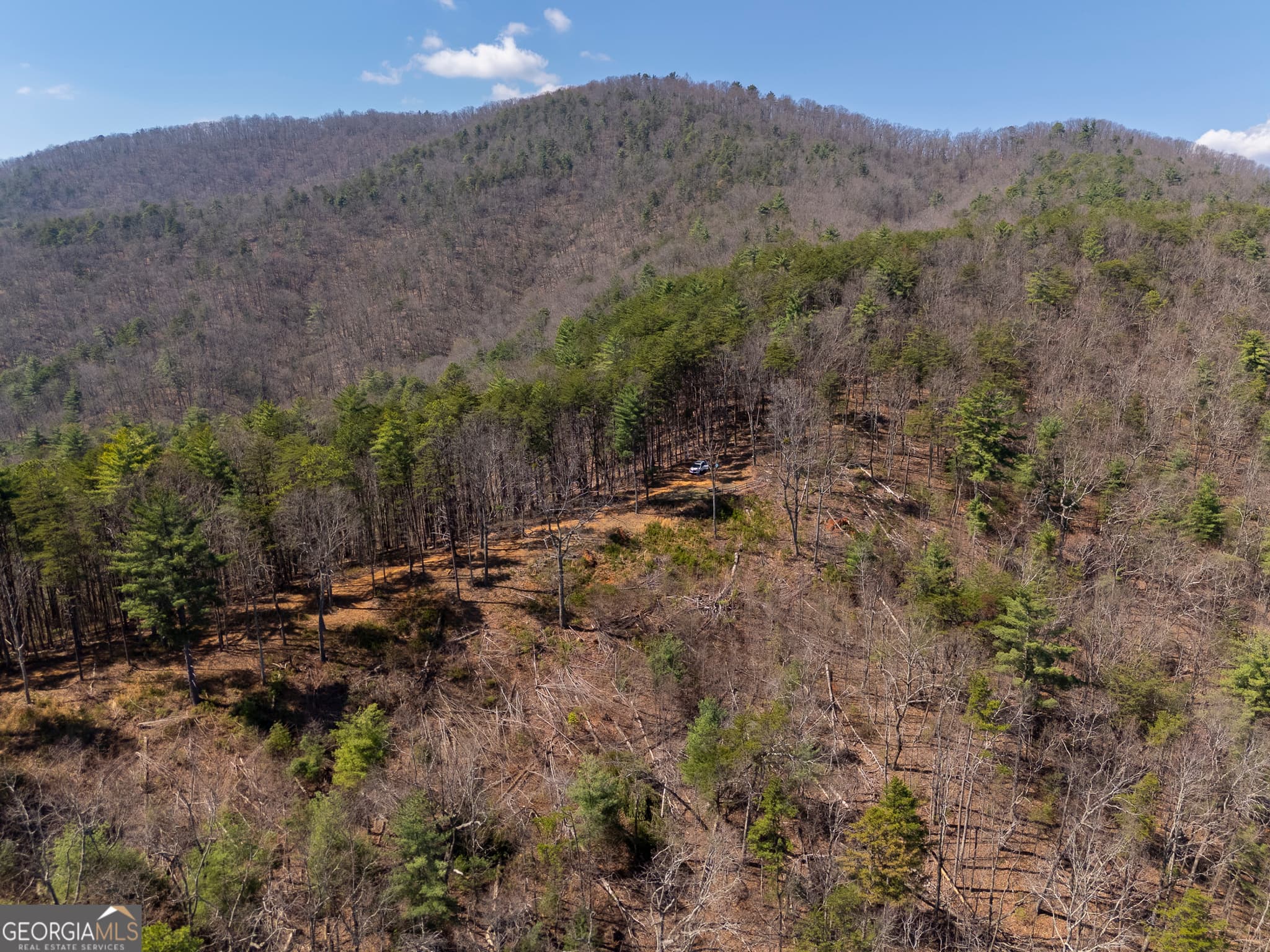 unimproved land for sale at 0 Bellflower Place, Helen, GA 30545 — photo 3