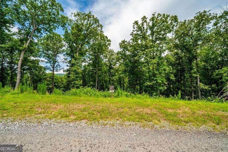 residential lot for sale at 0 Ridge Drive, Morganton, GA 30560 — photo 6