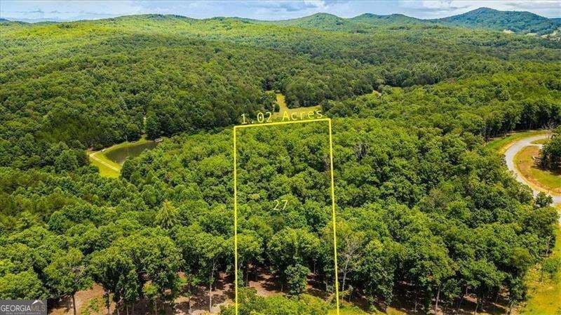 residential lot for sale at 0 Ridge Drive, Morganton, GA 30560 — photo 5