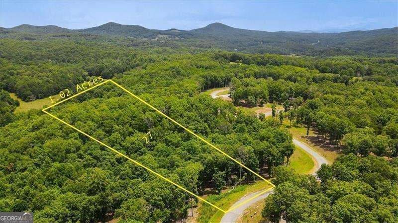 residential lot for sale at 0 Ridge Drive, Morganton, GA 30560 — photo 4