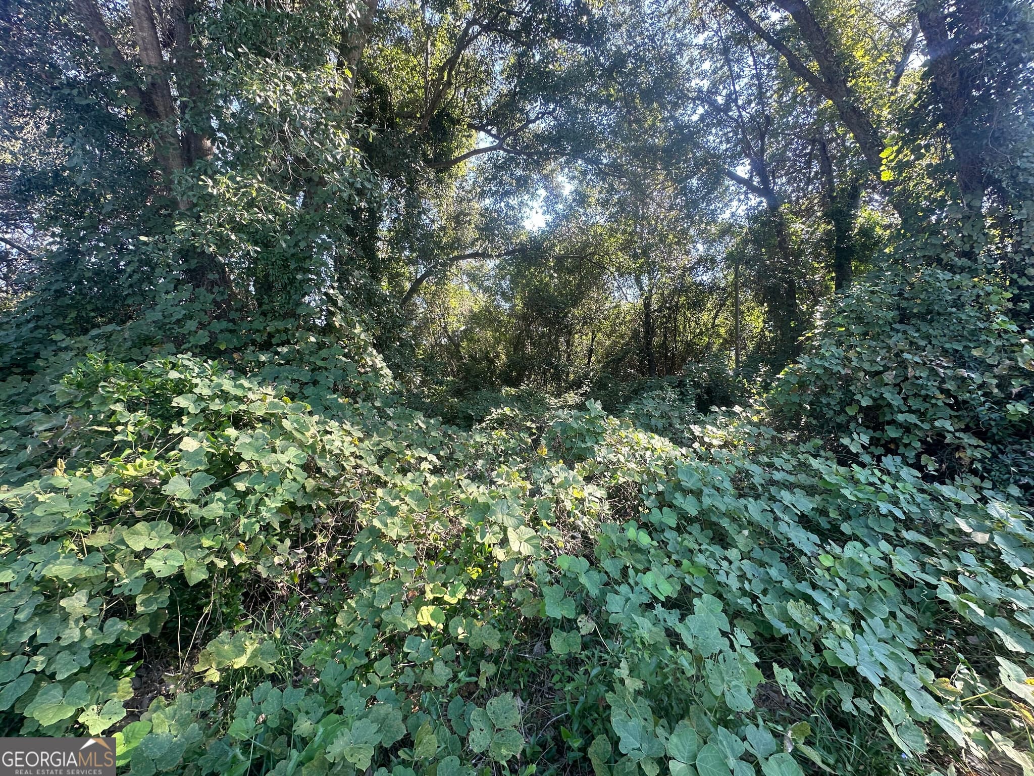 residential lot for sale at 400 Ogeechee East Street, Sylvania, GA 30467 — photo 2