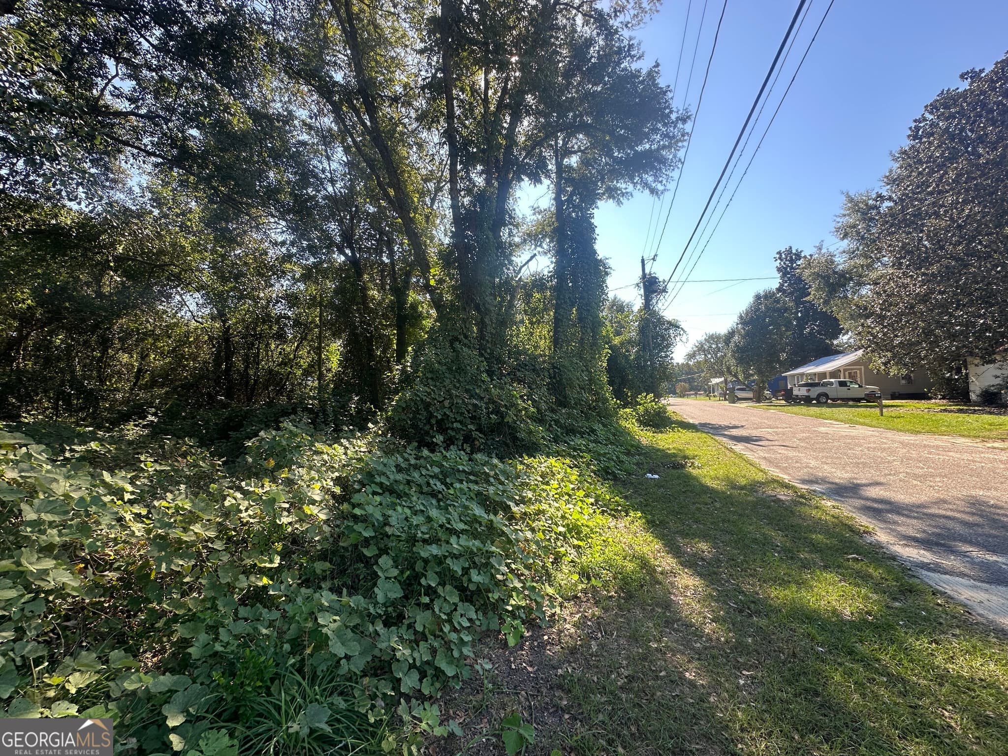 residential lot for sale at 400 Ogeechee East Street, Sylvania, GA 30467 — photo 3