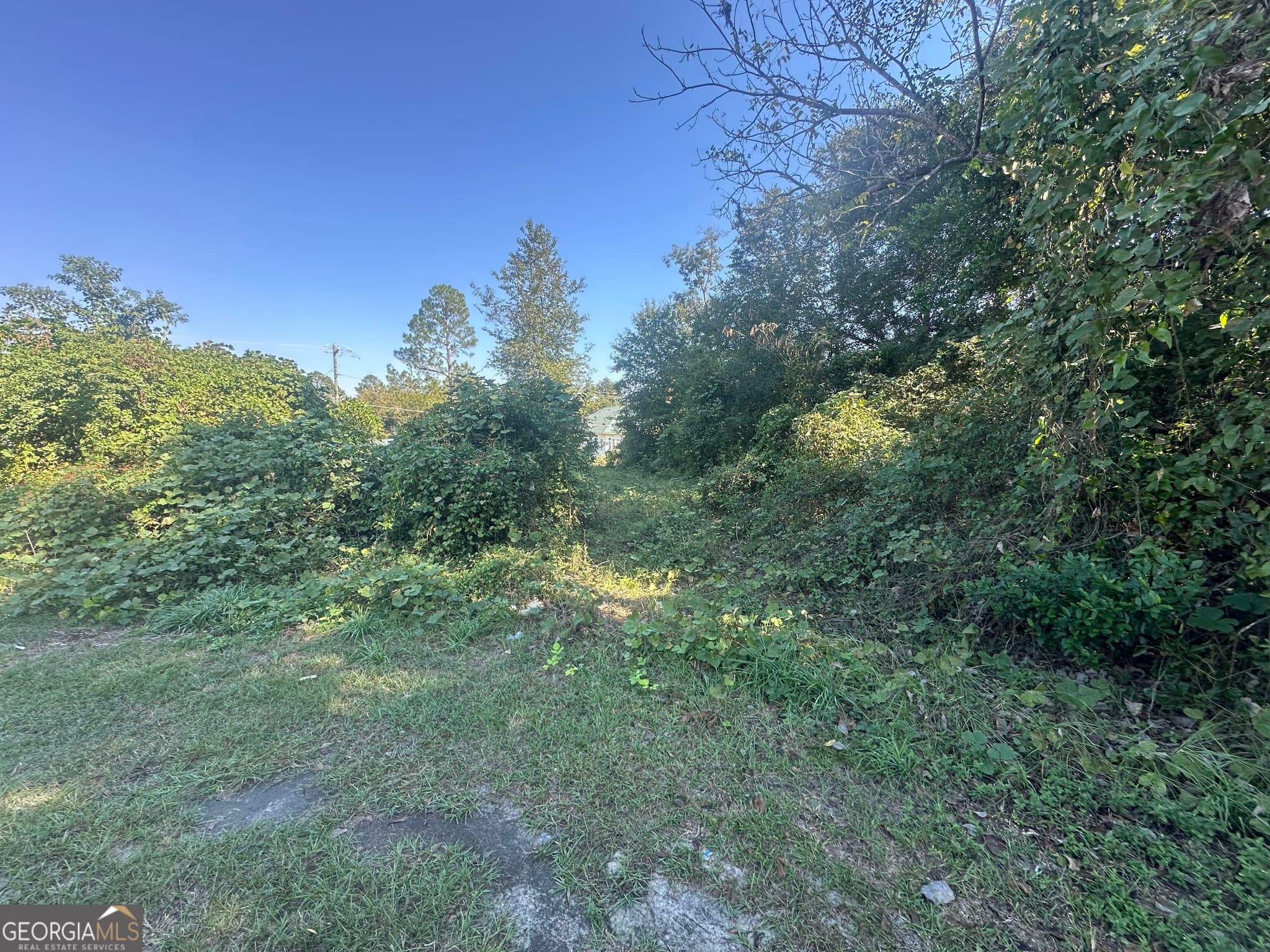 residential lot for sale at 400 Ogeechee East Street, Sylvania, GA 30467 — photo 4