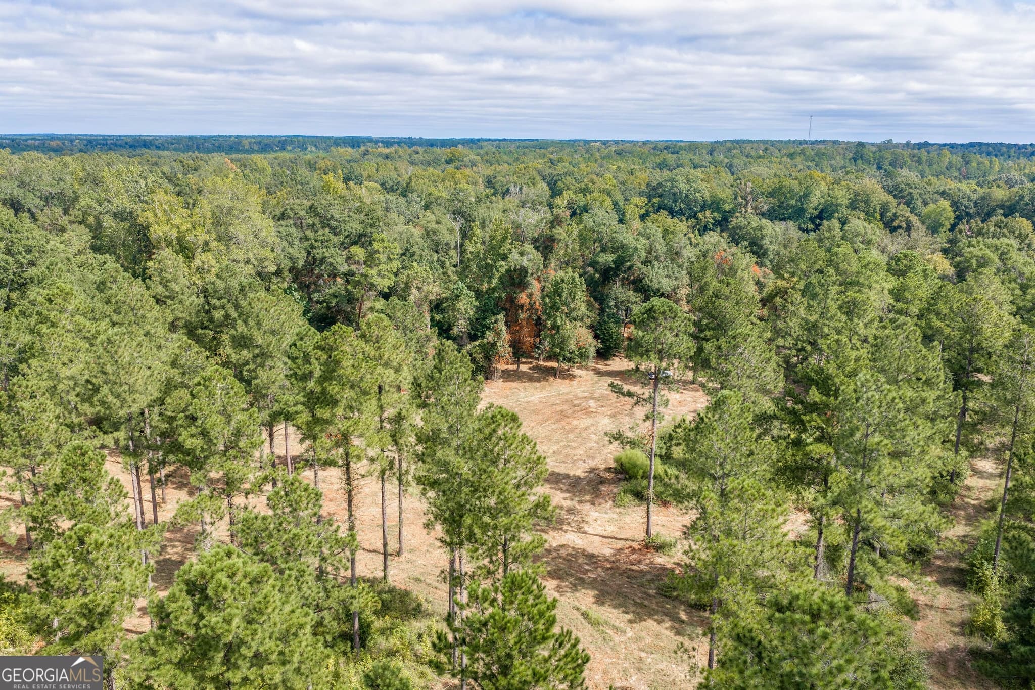 agriculture for sale at 0 Old US 84, Gordon, AL 36343 — photo 5