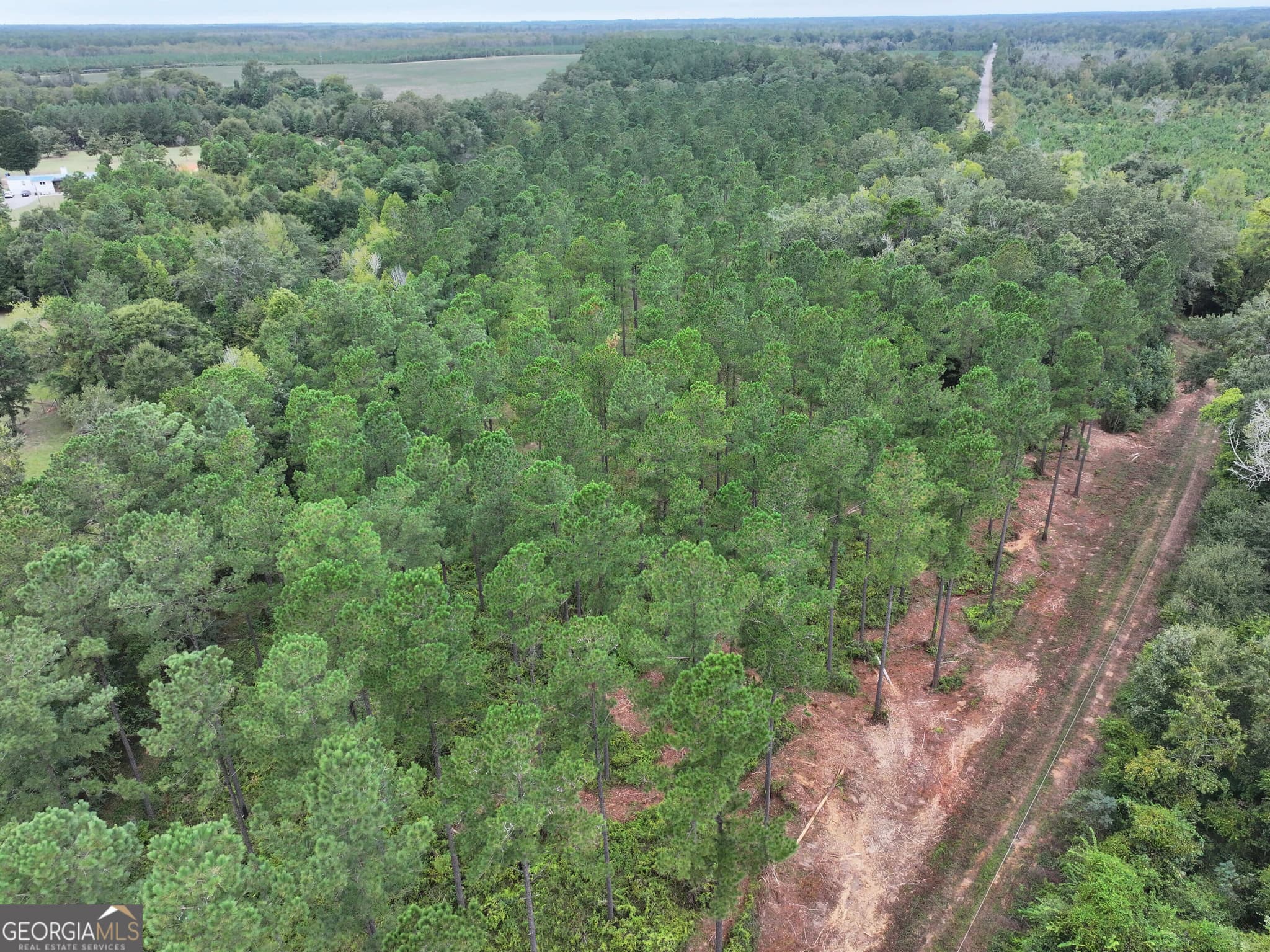 agriculture for sale at 0 Old US 84, Gordon, AL 36343 — photo 10