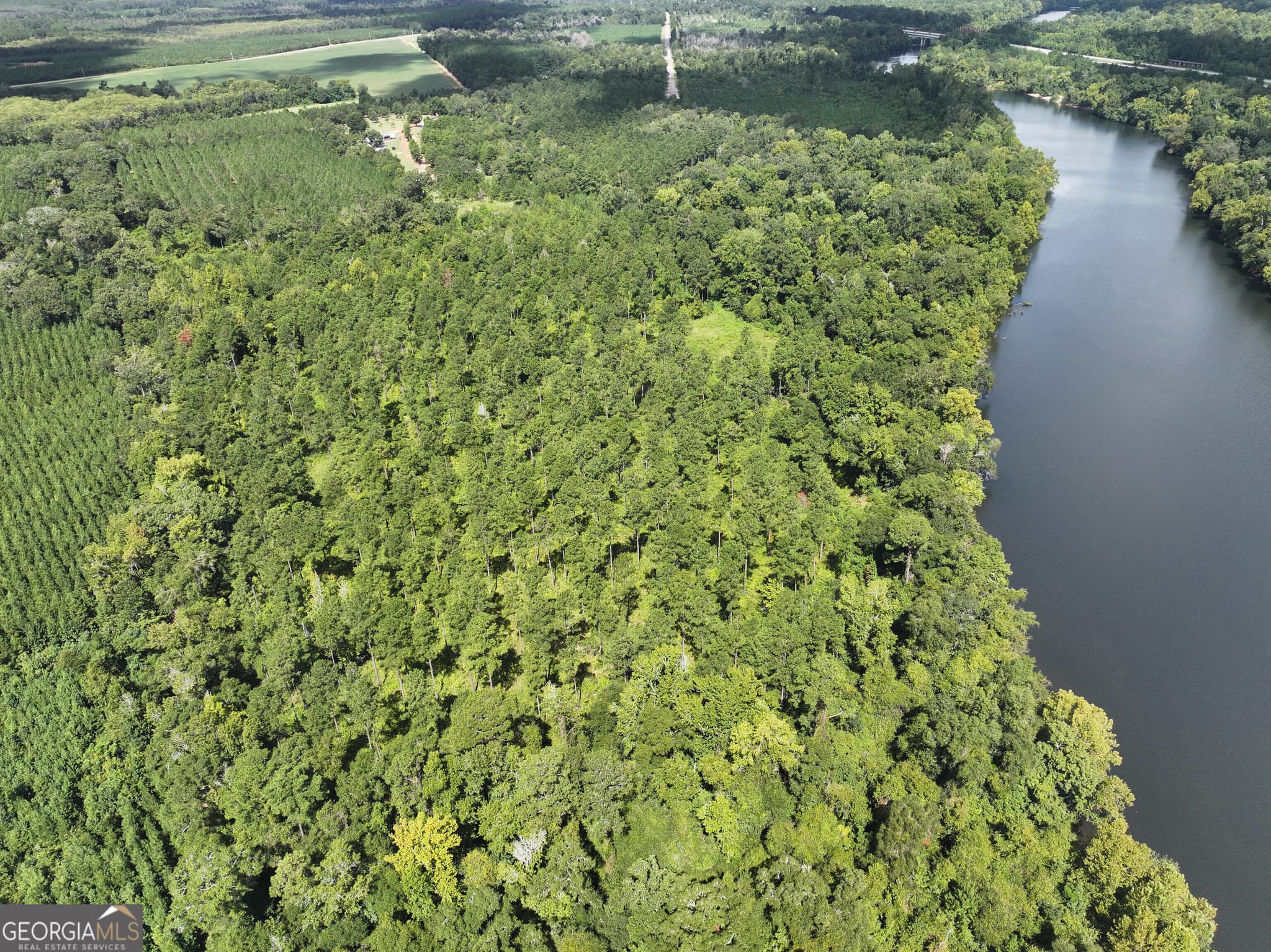 agriculture for sale at 0 Old US 84, Gordon, AL 36343 — photo 8