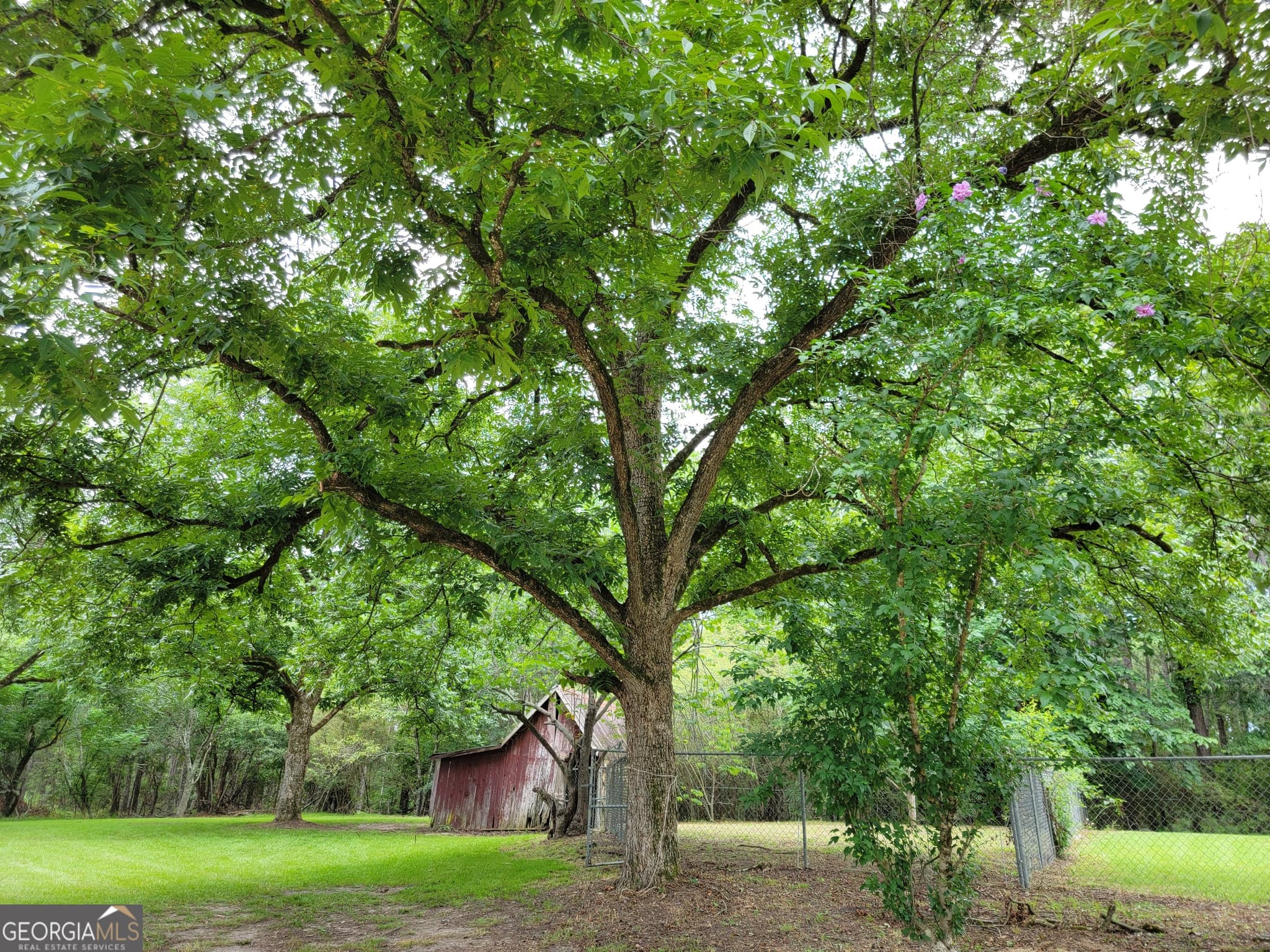 3 bedroom, 2 bathroom, 2,328 sq ft single family residence for sale at 367 Mt Pleasant Church Road, Gordon, GA 31031 — photo 6