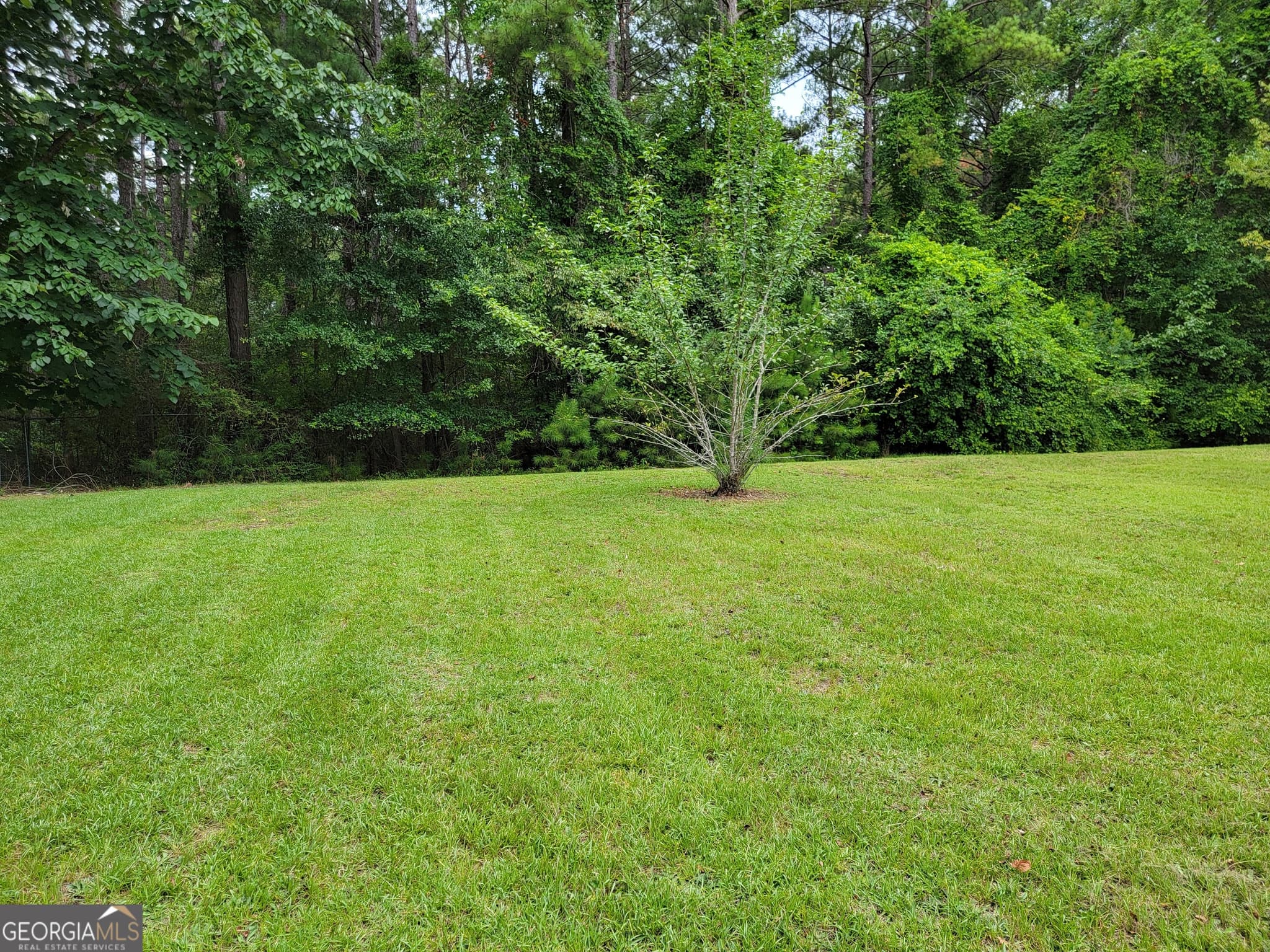 3 bedroom, 2 bathroom, 2,328 sq ft single family residence for sale at 367 Mt Pleasant Church Road, Gordon, GA 31031 — photo 9