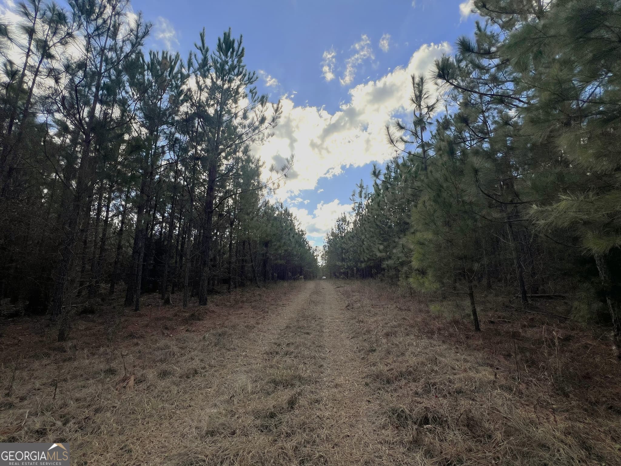 agriculture for sale at 0 Thomas Road, Millen, GA 30442 — photo 7