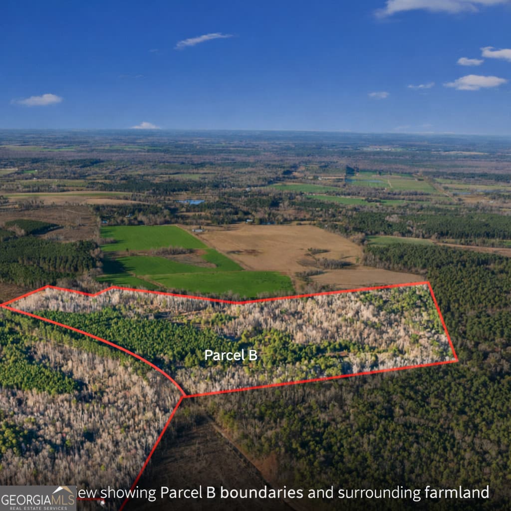 agriculture for sale at 0 Thomas Road, Millen, GA 30442 — photo 3