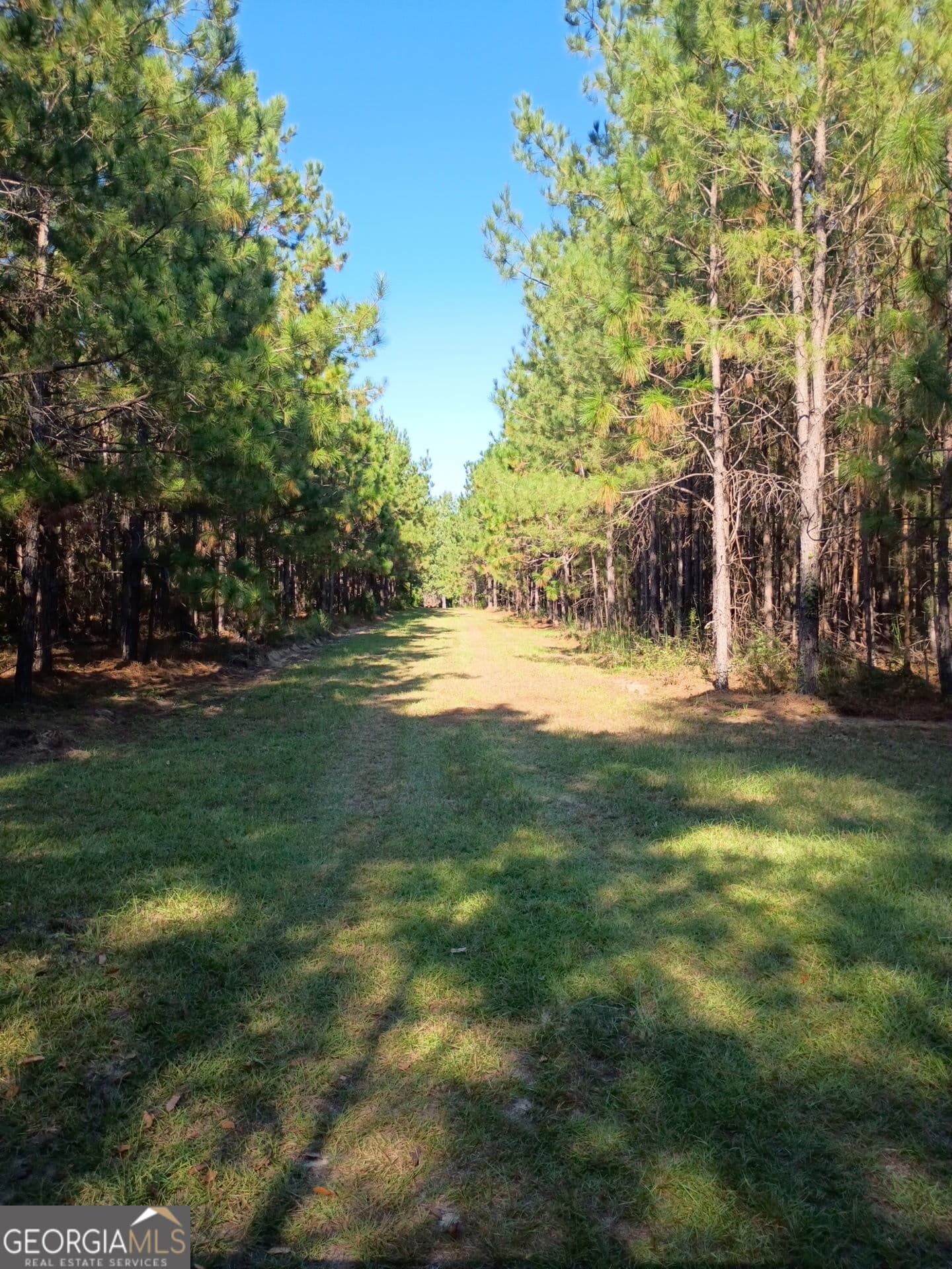 agriculture for sale at 0 Thomas Road, Millen, GA 30442