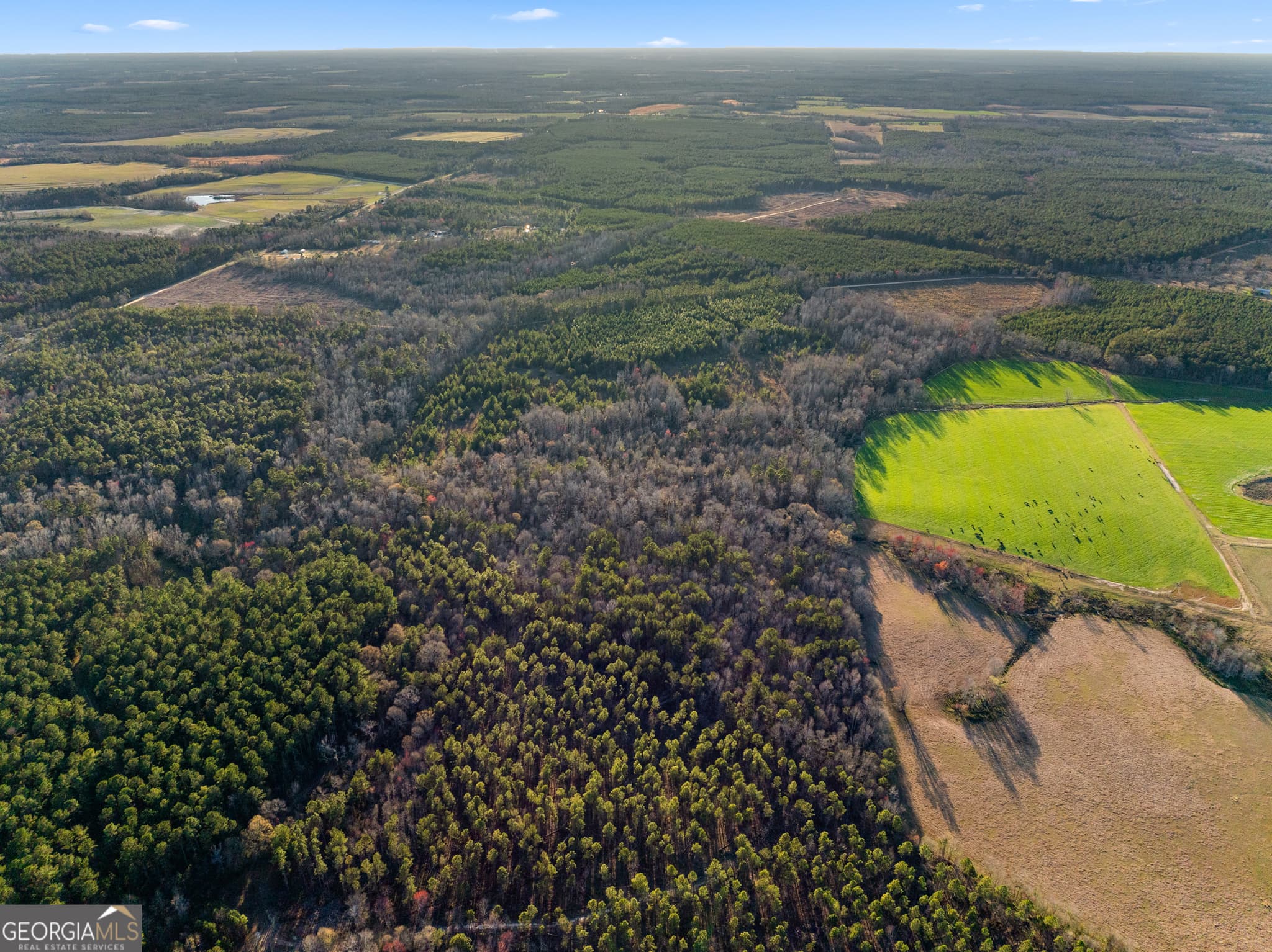 agriculture for sale at 0 Thomas Road, Millen, GA 30442 — photo 9