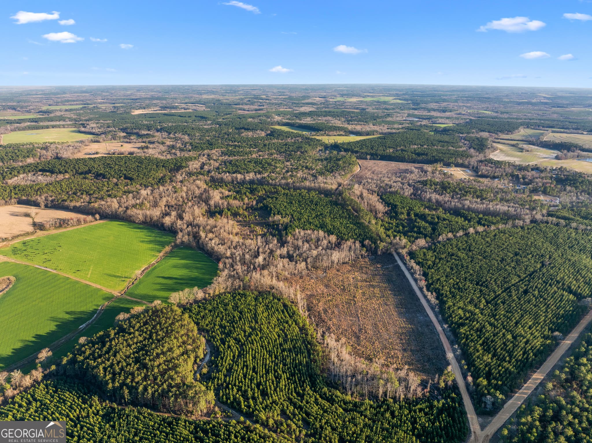 agriculture for sale at 0 Thomas Road, Millen, GA 30442 — photo 10