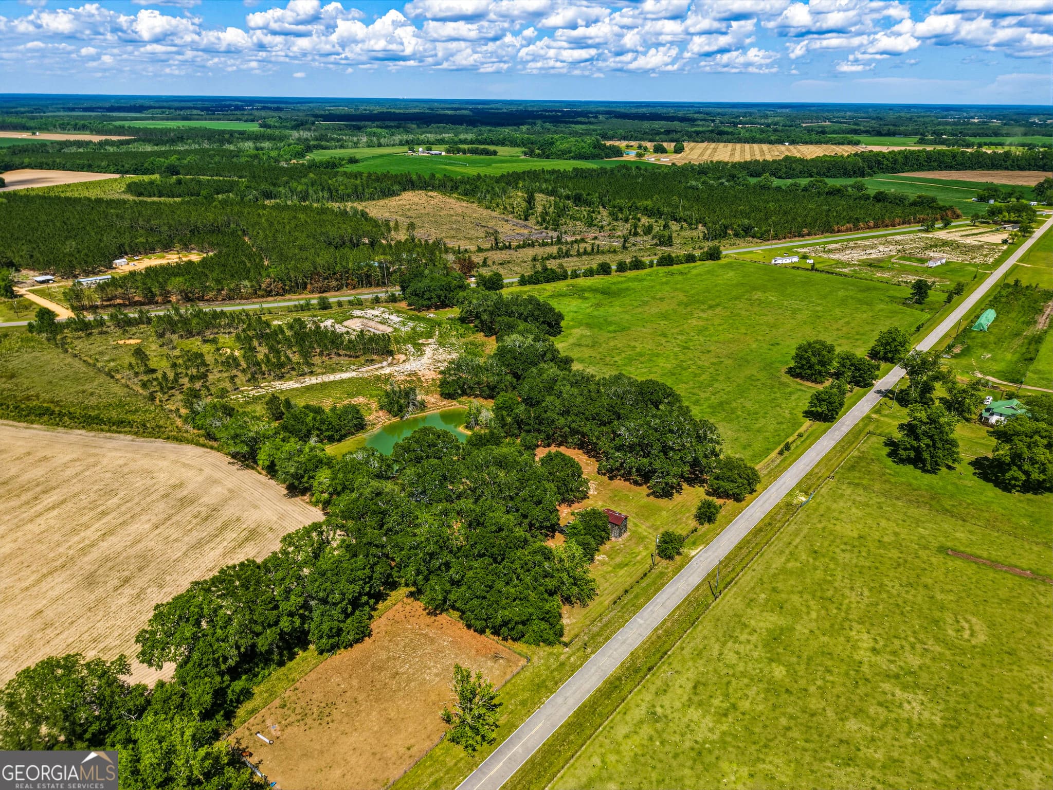 1 bedroom, 1 bathroom, 650 sq ft single family residence for sale at 0 Ritch Church Road, Screven, GA 31560