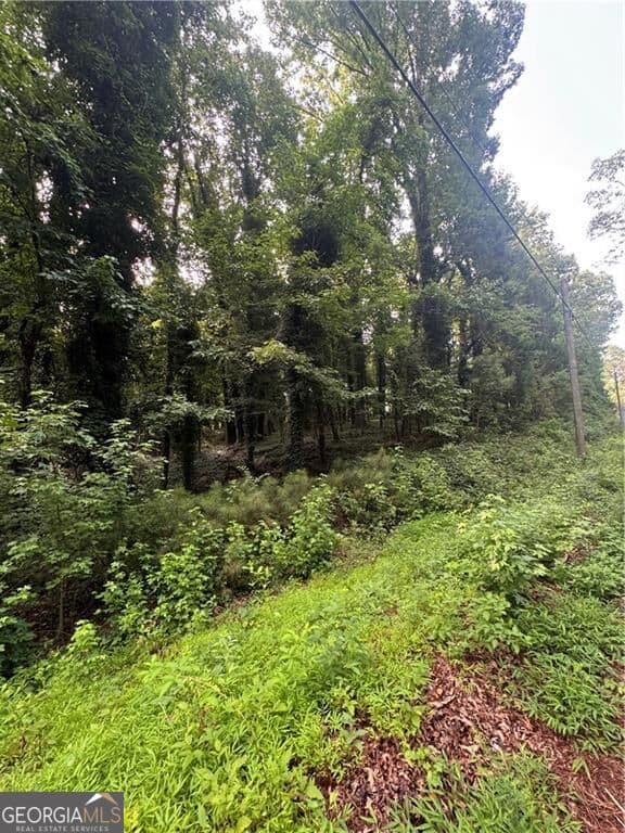 residential lot for sale at 0 Heatherland Drive, Atlanta, GA 30331 — photo 2
