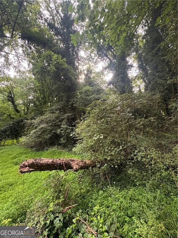 residential lot for sale at 0 Heatherland Drive, Atlanta, GA 30331 — photo 3
