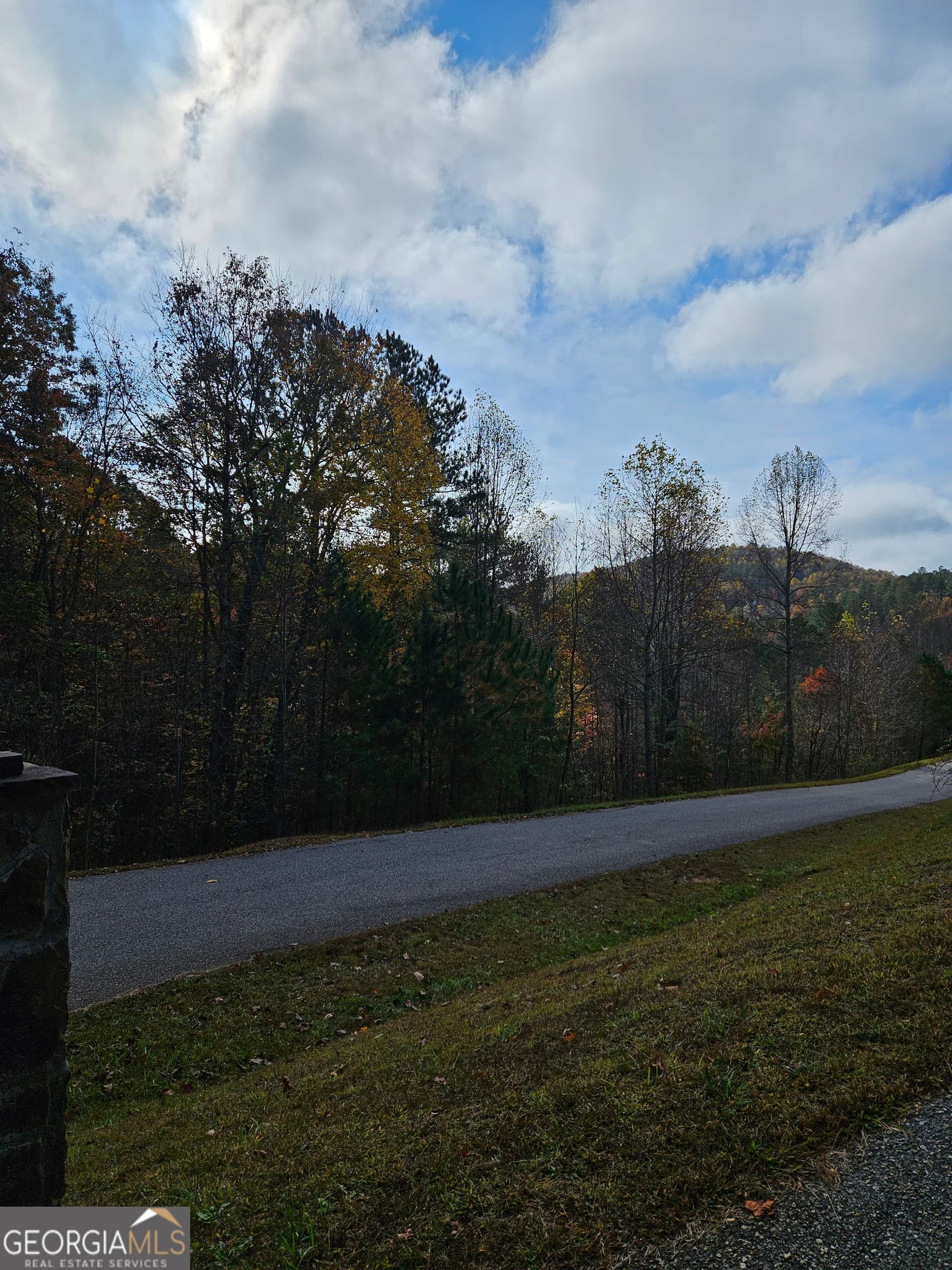 unimproved land for sale at 0 The Hills Lane 88, Blairsville, GA 30512 — photo 6