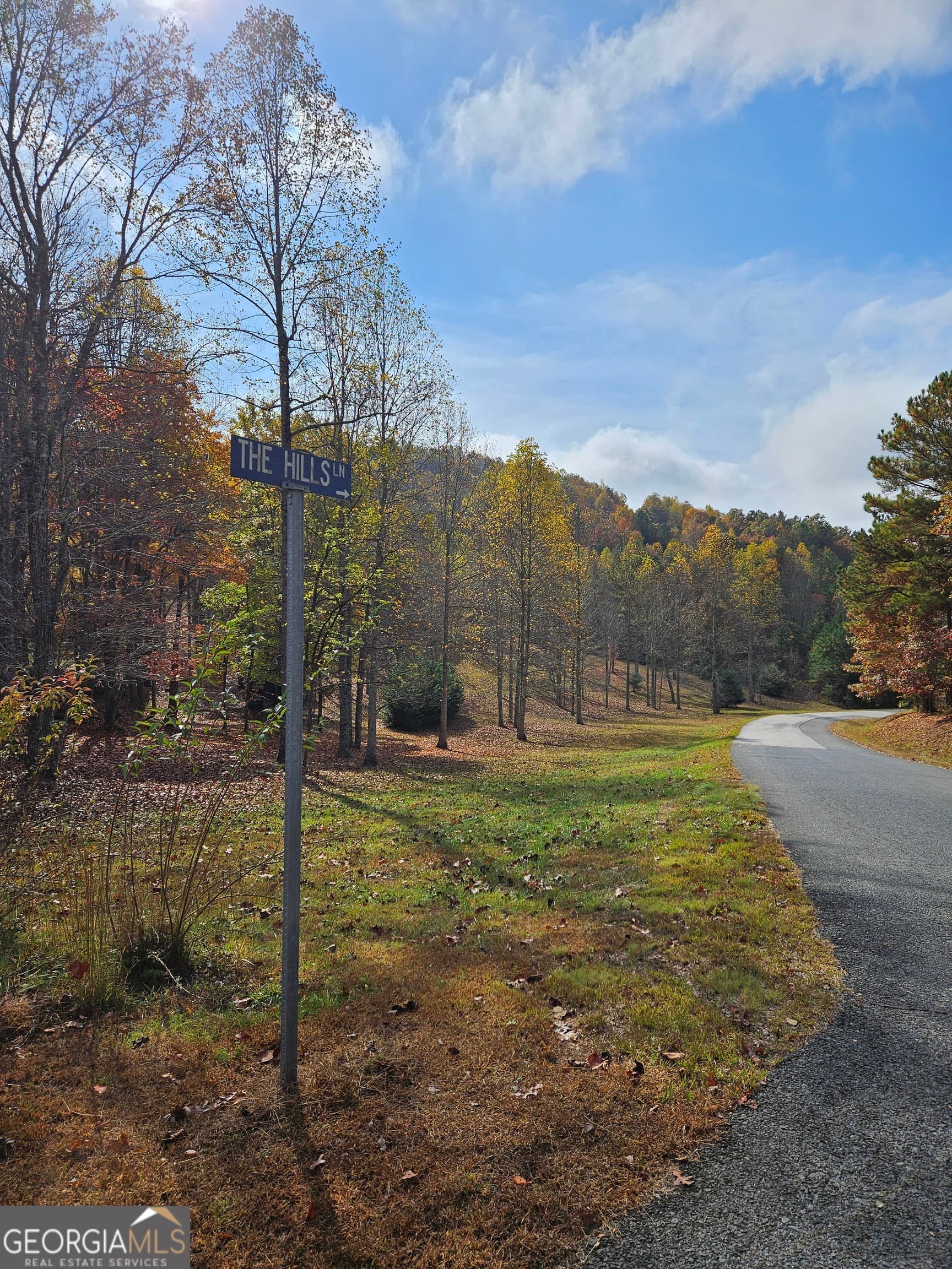 unimproved land for sale at 0 The Hills Lane 88, Blairsville, GA 30512 — photo 7