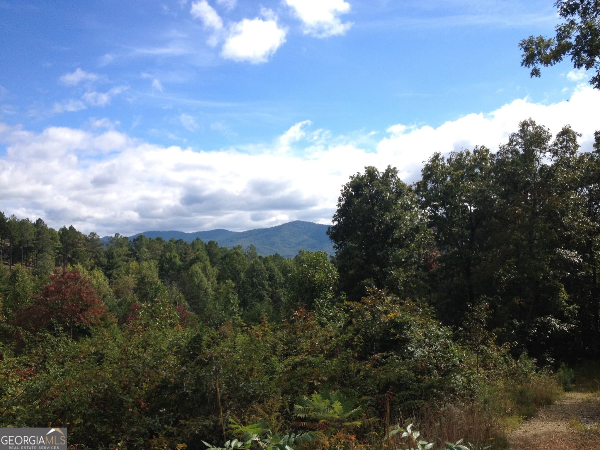 unimproved land for sale at 0 The Hills Lane 88, Blairsville, GA 30512 — photo 1 of 45