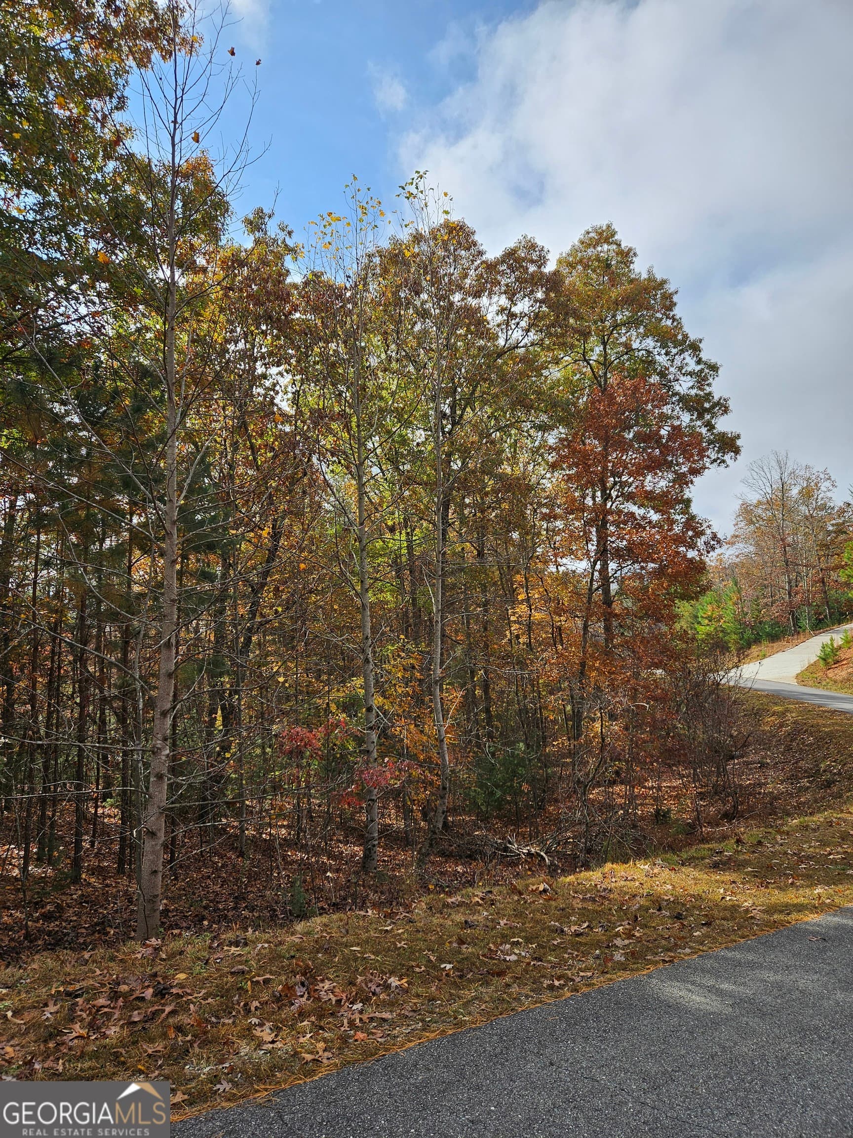 unimproved land for sale at 0 The Hills Lane 88, Blairsville, GA 30512 — photo 9