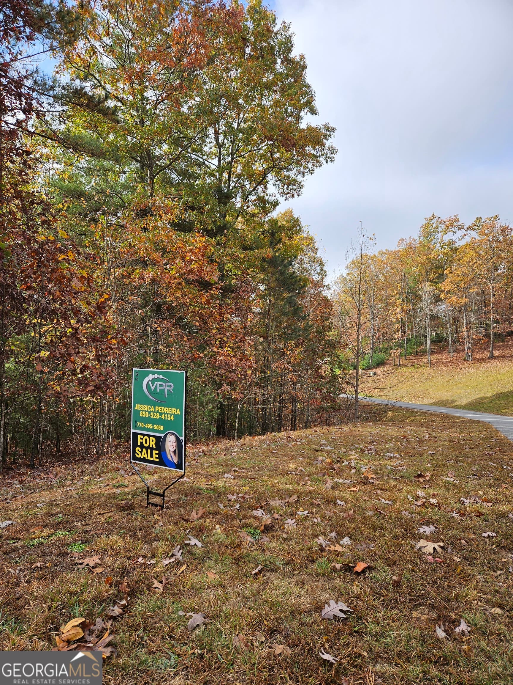 unimproved land for sale at 0 The Hills Lane 88, Blairsville, GA 30512 — photo 10
