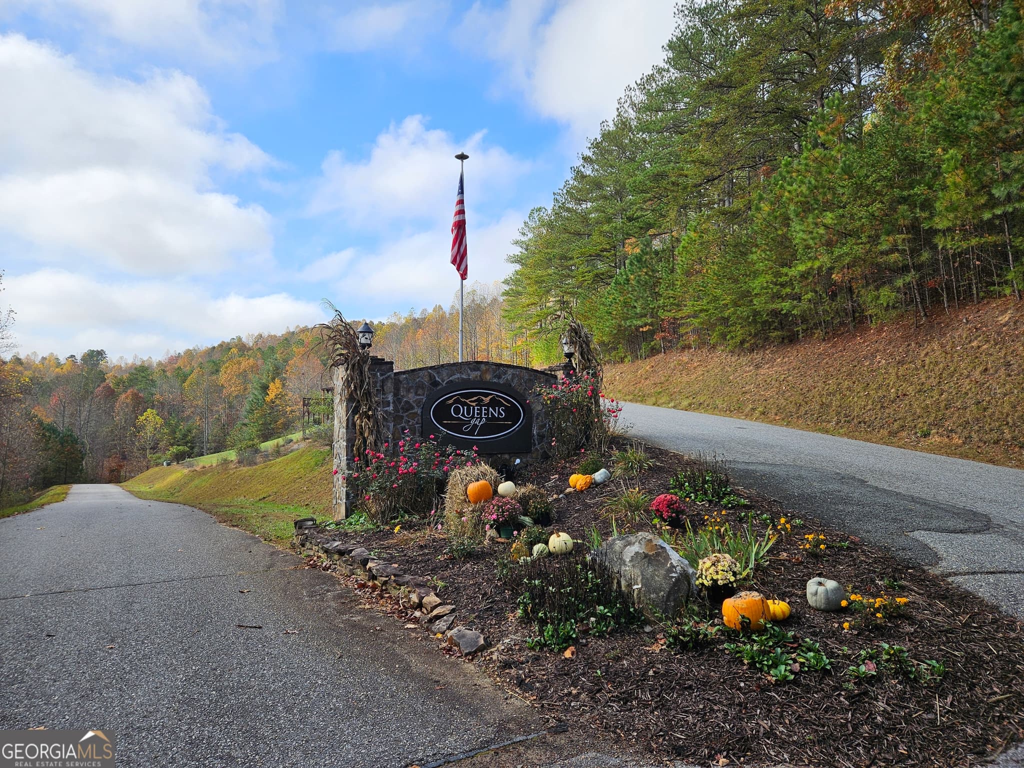 unimproved land for sale at 0 The Hills Lane 88, Blairsville, GA 30512 — photo 4