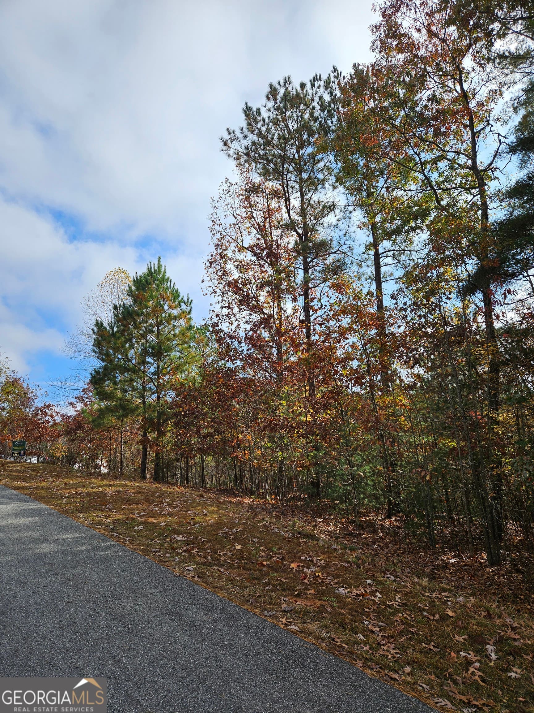 unimproved land for sale at 0 The Hills Lane 88, Blairsville, GA 30512 — photo 8