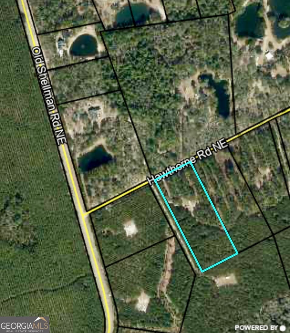 agriculture sold at 0 Hawthorne, Townsend, GA 31331