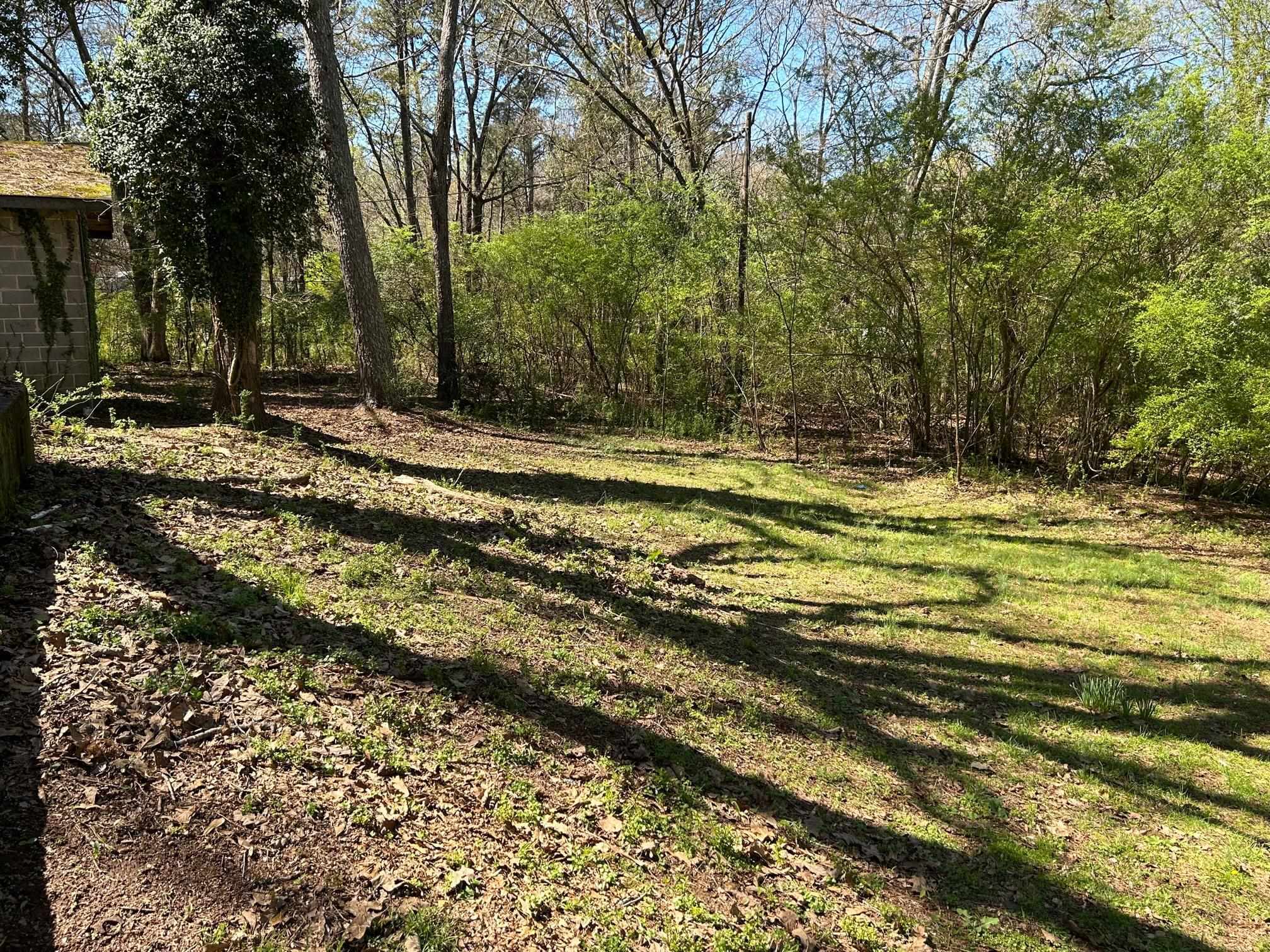 3 bedroom, 2 bathroom, 1,526 sq ft single family residence for sale at 190 Bowles Drive, Athens, GA 30606 — photo 3