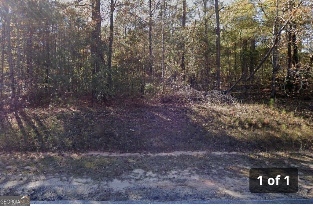 agriculture for sale at 3063 Hamlin Road, Lizella, GA 31052 — photo 2