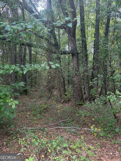 agriculture for sale at 3063 Hamlin Road, Lizella, GA 31052 — photo 6